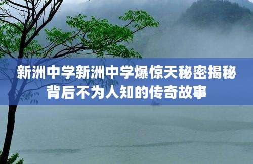 新洲中学新洲中学爆惊天秘密揭秘背后不为人知的传奇故事