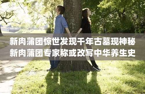 新肉蒲团惊世发现千年古墓现神秘新肉蒲团专家称或改写中华养生史