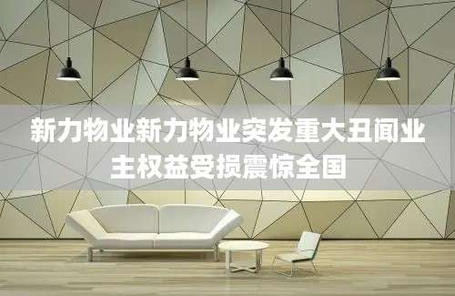 新力物业新力物业突发重大丑闻业主权益受损震惊全国