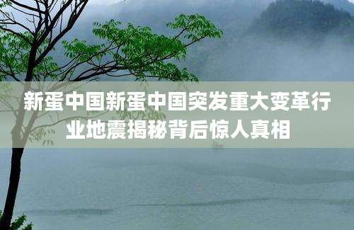新蛋中国新蛋中国突发重大变革行业地震揭秘背后惊人真相
