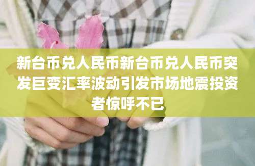 新台币兑人民币新台币兑人民币突发巨变汇率波动引发市场地震投资者惊呼不已