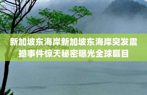 新加坡东海岸新加坡东海岸突发震撼事件惊天秘密曝光全球瞩目