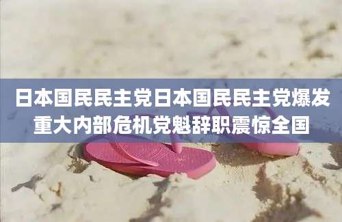 日本国民民主党日本国民民主党爆发重大内部危机党魁辞职震惊全国
