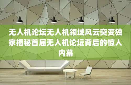无人机论坛无人机领域风云突变独家揭秘首届无人机论坛背后的惊人内幕