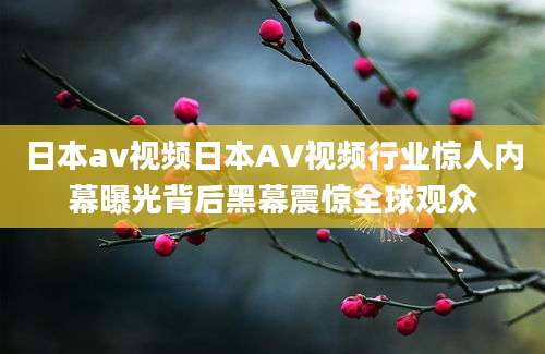 日本av视频日本AV视频行业惊人内幕曝光背后黑幕震惊全球观众