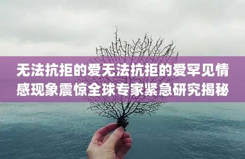 无法抗拒的爱无法抗拒的爱罕见情感现象震惊全球专家紧急研究揭秘