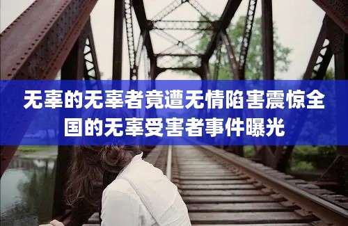 无辜的无辜者竟遭无情陷害震惊全国的无辜受害者事件曝光