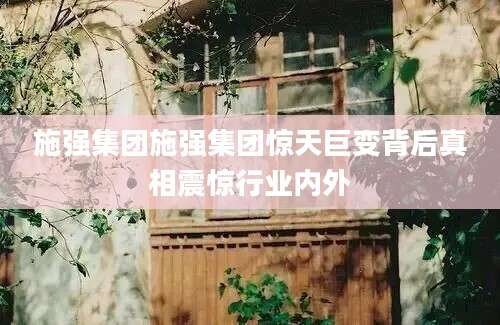 施强集团施强集团惊天巨变背后真相震惊行业内外