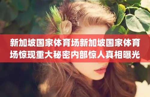 新加坡国家体育场新加坡国家体育场惊现重大秘密内部惊人真相曝光
