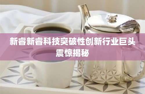 新睿新睿科技突破性创新行业巨头震惊揭秘