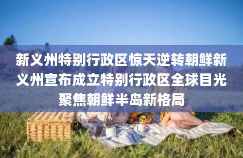 新义州特别行政区惊天逆转朝鲜新义州宣布成立特别行政区全球目光聚焦朝鲜半岛新格局