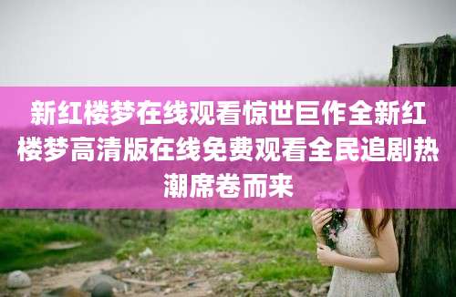 新红楼梦在线观看惊世巨作全新红楼梦高清版在线免费观看全民追剧热潮席卷而来