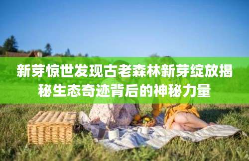 新芽惊世发现古老森林新芽绽放揭秘生态奇迹背后的神秘力量