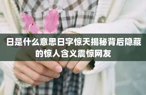日是什么意思日字惊天揭秘背后隐藏的惊人含义震惊网友