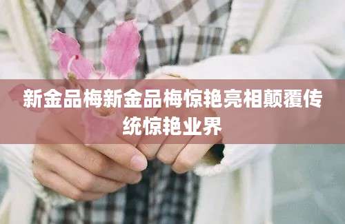 新金品梅新金品梅惊艳亮相颠覆传统惊艳业界