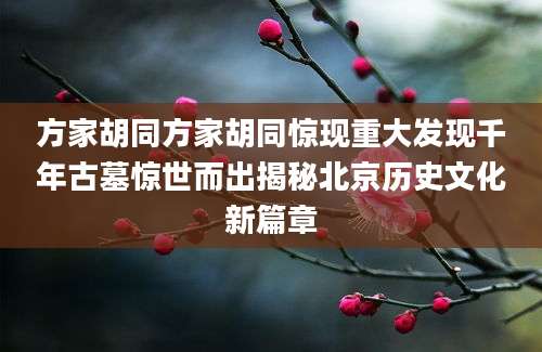 方家胡同方家胡同惊现重大发现千年古墓惊世而出揭秘北京历史文化新篇章