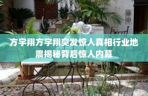 方宇翔方宇翔突发惊人真相行业地震揭秘背后惊人内幕