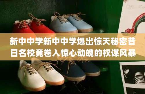 新中中学新中中学爆出惊天秘密昔日名校竟卷入惊心动魄的权谋风暴