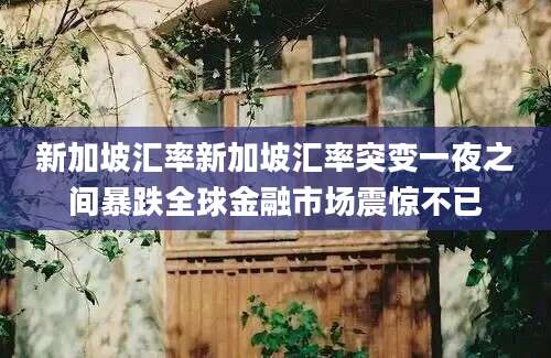 新加坡汇率新加坡汇率突变一夜之间暴跌全球金融市场震惊不已