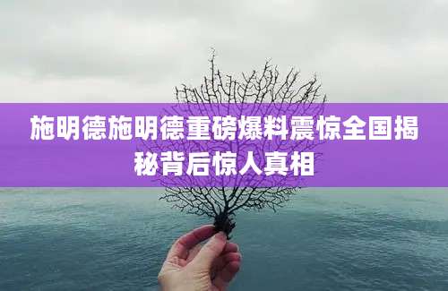 施明德施明德重磅爆料震惊全国揭秘背后惊人真相