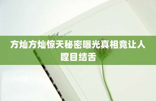 方灿方灿惊天秘密曝光真相竟让人瞠目结舌