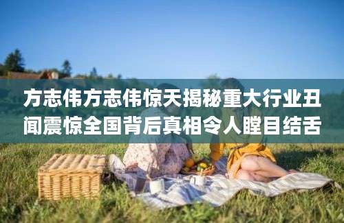 方志伟方志伟惊天揭秘重大行业丑闻震惊全国背后真相令人瞠目结舌