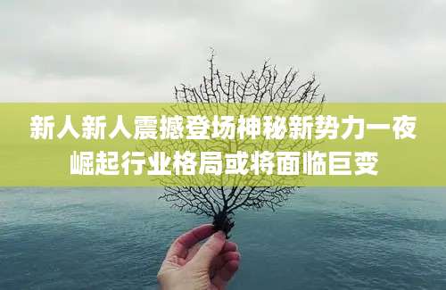 新人新人震撼登场神秘新势力一夜崛起行业格局或将面临巨变