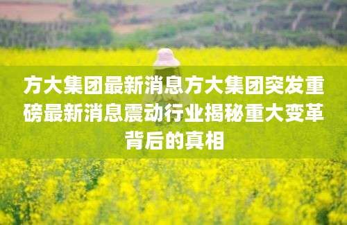 方大集团最新消息方大集团突发重磅最新消息震动行业揭秘重大变革背后的真相