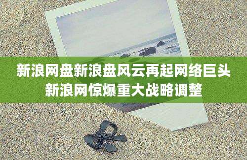 新浪网盘新浪盘风云再起网络巨头新浪网惊爆重大战略调整