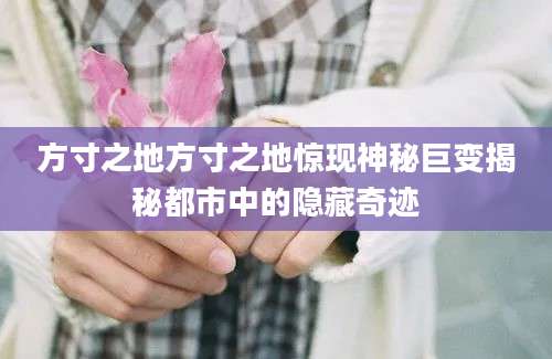 方寸之地方寸之地惊现神秘巨变揭秘都市中的隐藏奇迹