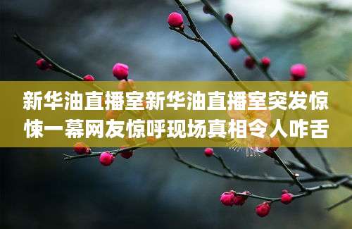 新华油直播室新华油直播室突发惊悚一幕网友惊呼现场真相令人咋舌