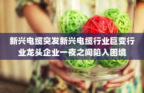 新兴电缆突发新兴电缆行业巨变行业龙头企业一夜之间陷入困境