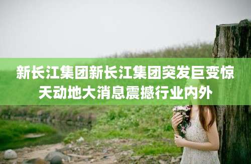 新长江集团新长江集团突发巨变惊天动地大消息震撼行业内外