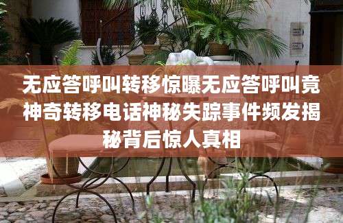 无应答呼叫转移惊曝无应答呼叫竟神奇转移电话神秘失踪事件频发揭秘背后惊人真相