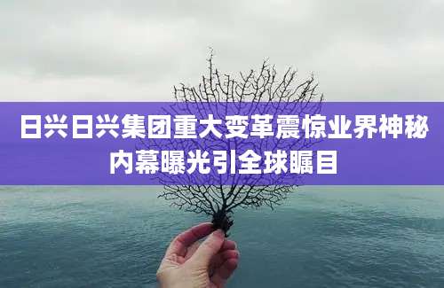 日兴日兴集团重大变革震惊业界神秘内幕曝光引全球瞩目