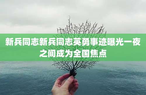 新兵同志新兵同志英勇事迹曝光一夜之间成为全国焦点