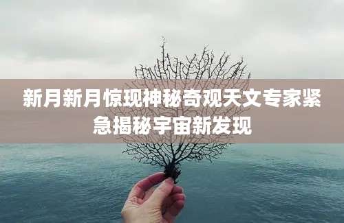 新月新月惊现神秘奇观天文专家紧急揭秘宇宙新发现