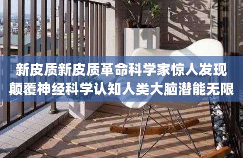 新皮质新皮质革命科学家惊人发现颠覆神经科学认知人类大脑潜能无限