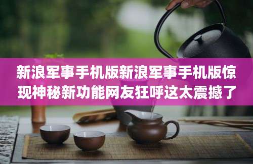 新浪军事手机版新浪军事手机版惊现神秘新功能网友狂呼这太震撼了