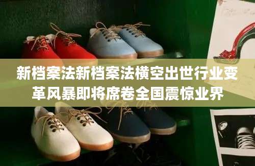 新档案法新档案法横空出世行业变革风暴即将席卷全国震惊业界