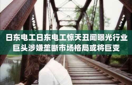 日东电工日东电工惊天丑闻曝光行业巨头涉嫌垄断市场格局或将巨变