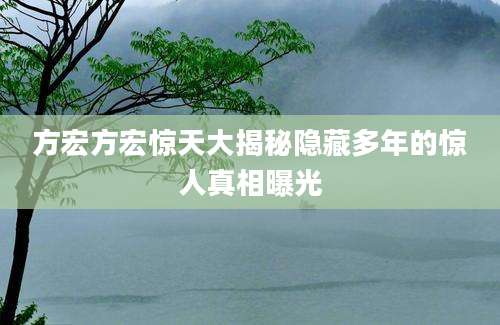 方宏方宏惊天大揭秘隐藏多年的惊人真相曝光