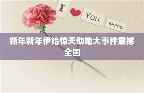 新年新年伊始惊天动地大事件震撼全国