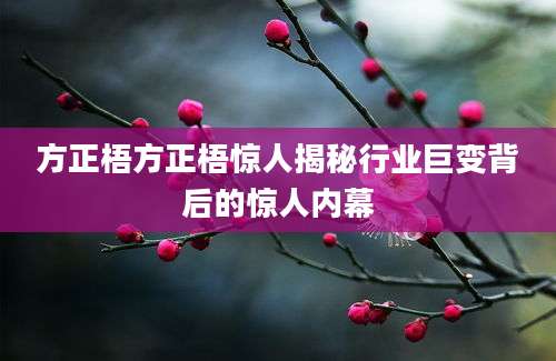 方正梧方正梧惊人揭秘行业巨变背后的惊人内幕