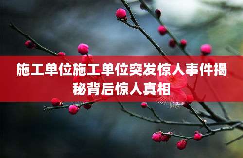 施工单位施工单位突发惊人事件揭秘背后惊人真相