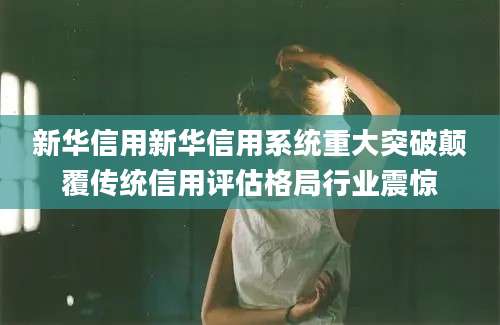 新华信用新华信用系统重大突破颠覆传统信用评估格局行业震惊