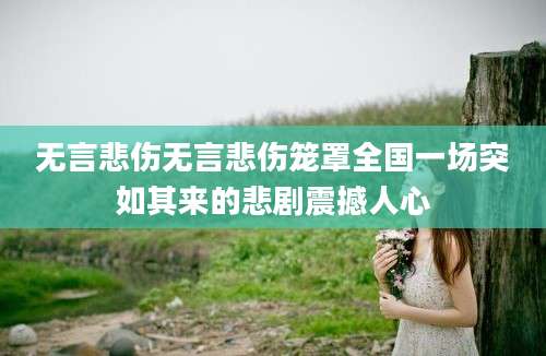 无言悲伤无言悲伤笼罩全国一场突如其来的悲剧震撼人心