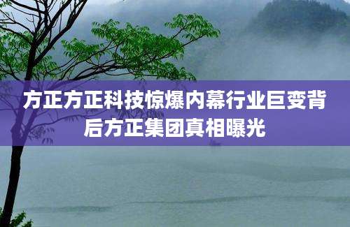方正方正科技惊爆内幕行业巨变背后方正集团真相曝光