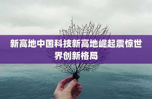 新高地中国科技新高地崛起震惊世界创新格局