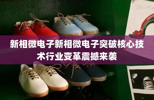 新相微电子新相微电子突破核心技术行业变革震撼来袭
